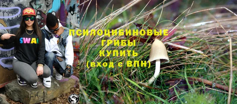 shop какой сайт  Лебедянь  Галлюциногенные грибы Psilocybe  hydra ССЫЛКА 